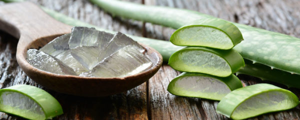 Gel aloe vera